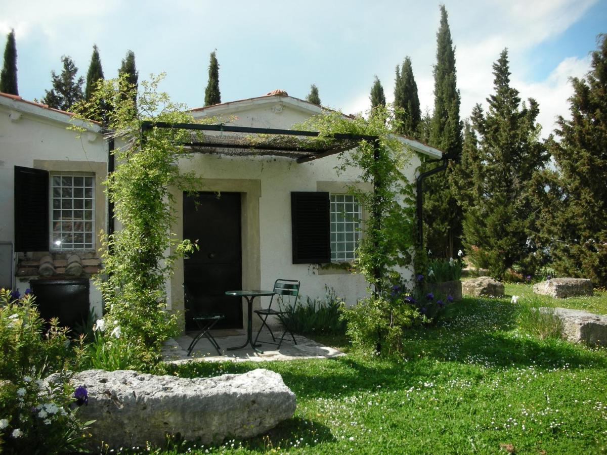 Vignagrande Agriturismo Сатурния Экстерьер фото